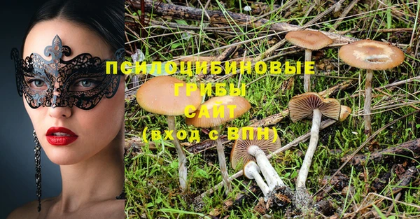 шишки Краснотурьинск