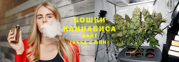 дурь Щучье