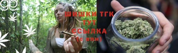 шишки Краснотурьинск