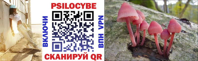 Псилоцибиновые грибы мицелий  Купить  Менделеевск 